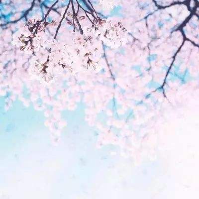 九游怒火战歌官方下载